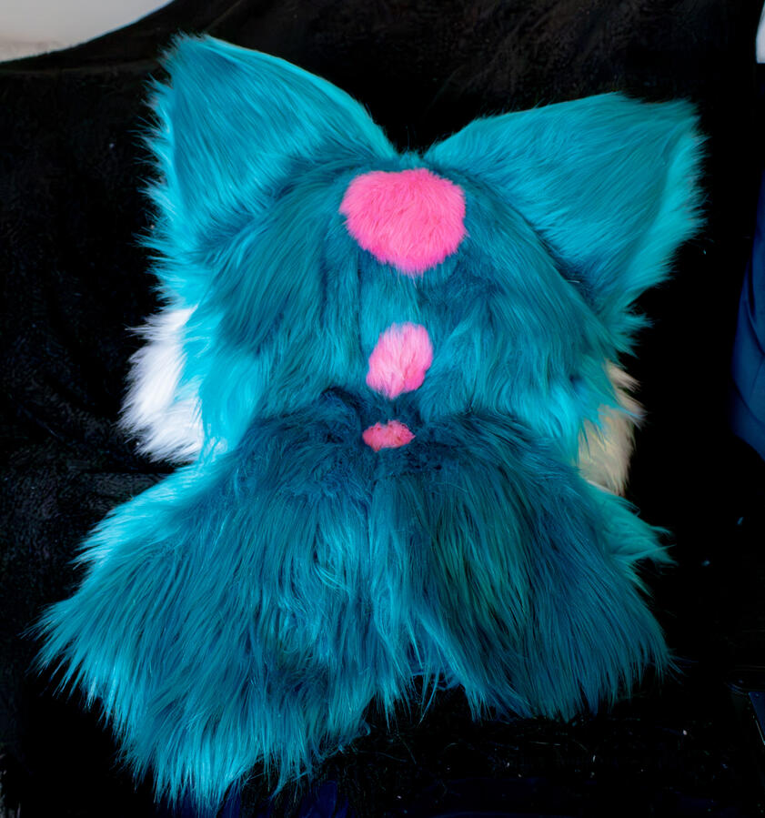 Candy Fox (Back)