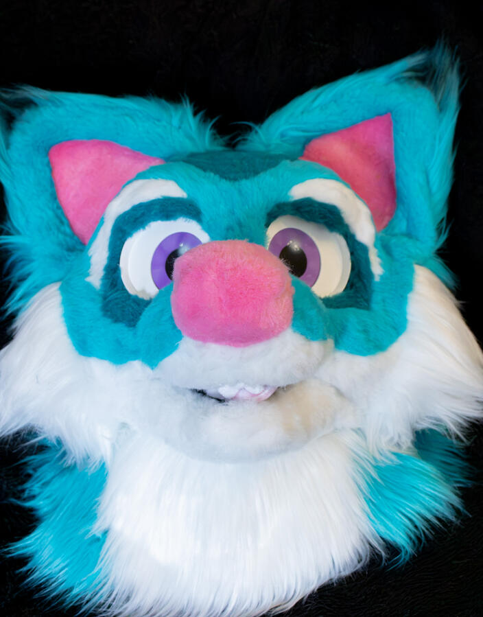 Candy Fox
