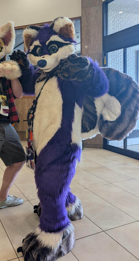 Squirreleyyy Full Suit