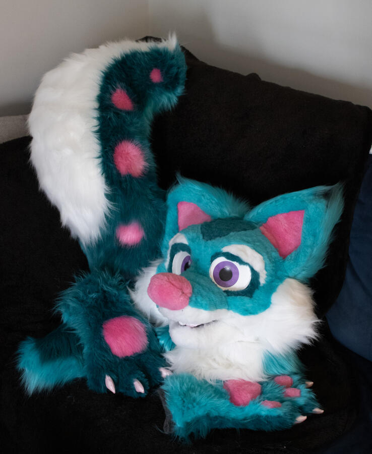 Candy Fox Partial